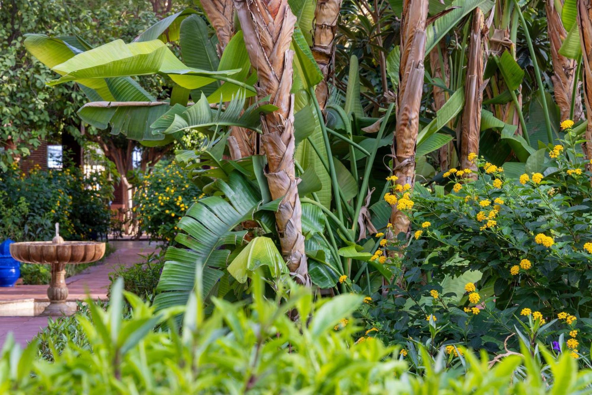 Le Meridien N'Fis Marrakesh Exterior photo